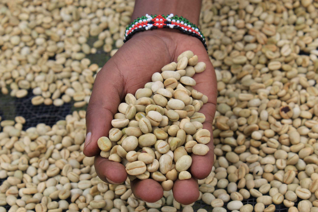 When the World Intervenes | Fire Lily Coffee