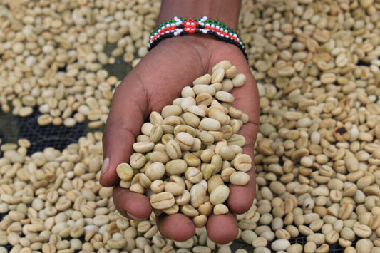 When the World Intervenes | Fire Lily Coffee