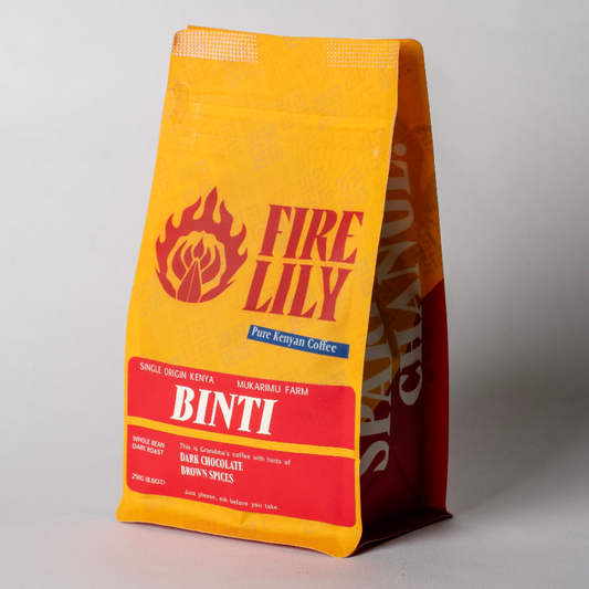  'Fire Lily Binti' branding 