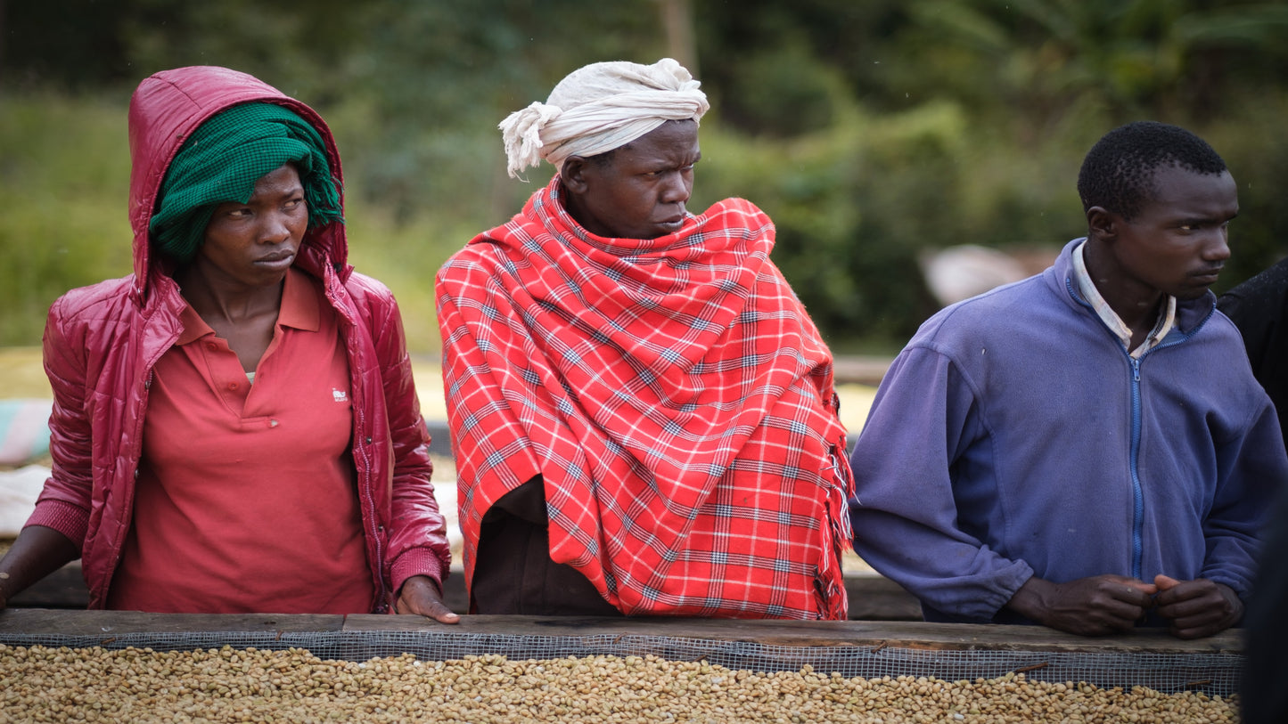 BINTI | Kenyan Single Origin | Dark Roast
